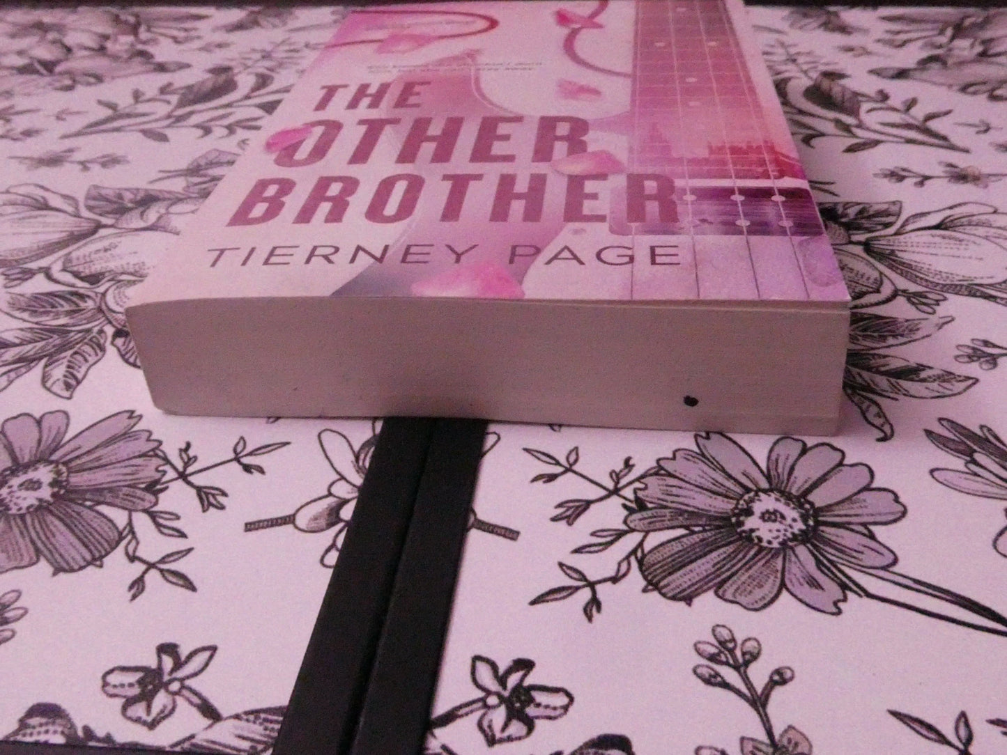 The Other Brother (Gently Loved)