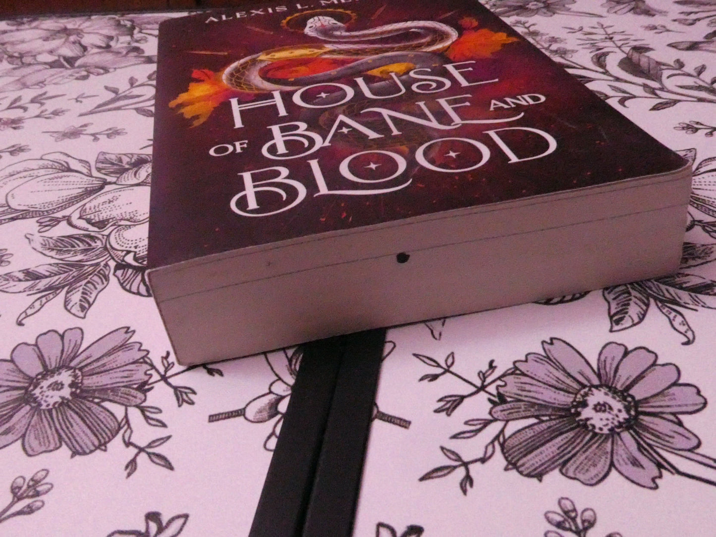 House Of Bane and Blood (Gently Loved)