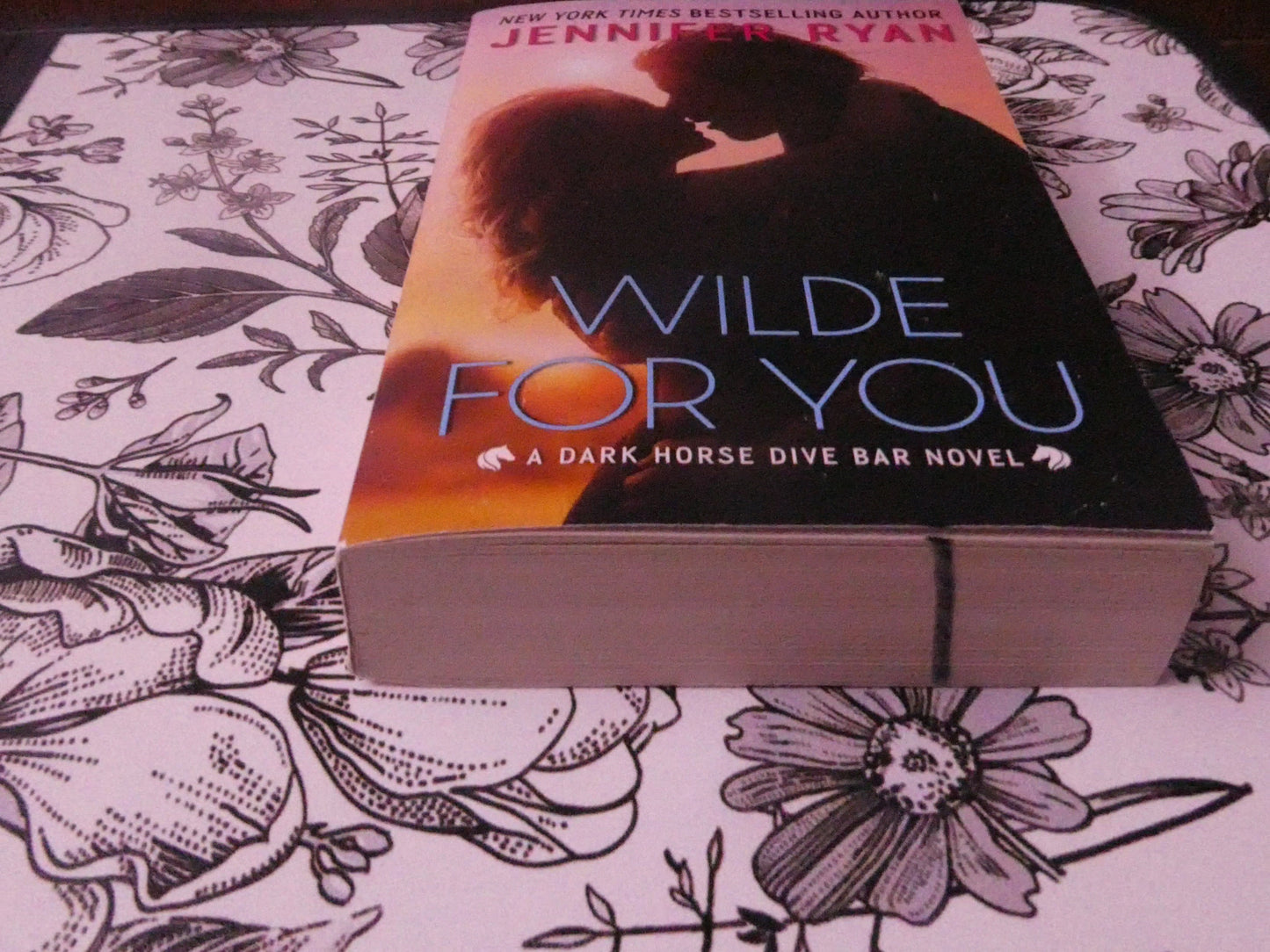Wilde For You (Gently Loved)