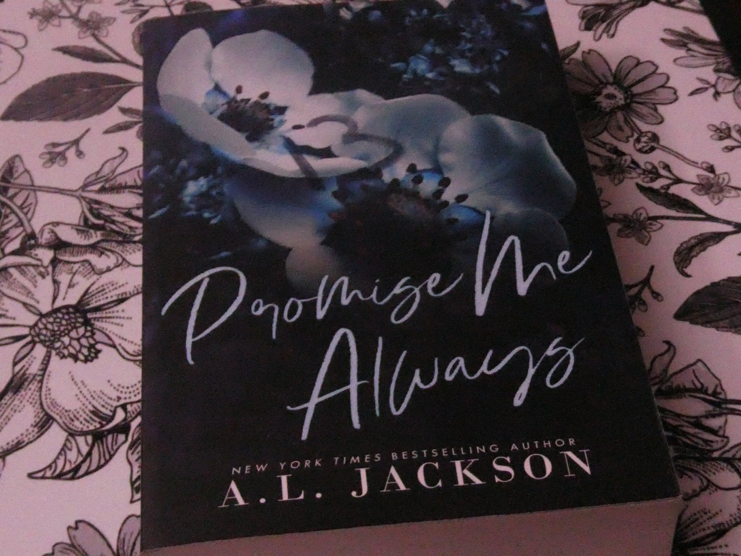 Promise Me Always (Gently Loved)
