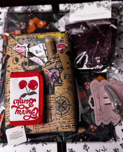 A Blind Date With A Book